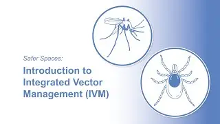 Safer Spaces: Introduction to Integrated Vector Management (IVM)