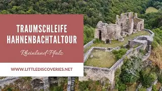 Traumschleife Hahnenbachtaltour | Wanderung in Rheinland-Pfalz | Little Discoveries