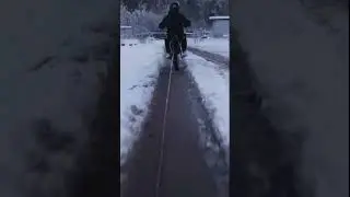 #питбаи́к