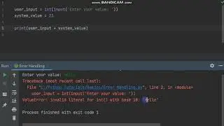 Python Basics - Part 56 (Detecting Runtime Errors)