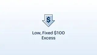Low, Fixed $100 Excess - Q Report Jewellery Insurance