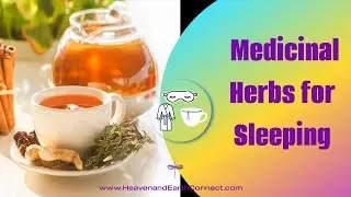 Why you should take medicinal herbs to help you sleep.
