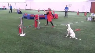 L , startti , Pörri , uusinta