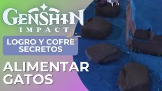 Alimentar Gatos en Isla Seirai - Logro y cofre secretos - Guía // GENSHIN IMPACT EN ESPAÑOL