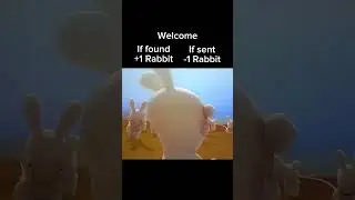 Rabbit #memes #rabbit #shorts