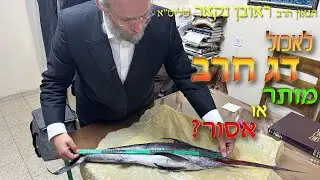 הגאון הרב ראובן נקאר שליט