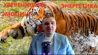 УВЕРЕННОСТЬ.ЭМОЦИИ.ЭНЕРГИЯ И МЕТОД ОТКЛЮЧКИ ОТ НЕГАТИВНЫХ ЛЮДЕЙ