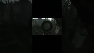 Cheater Sherpas In escape From Tarkov 