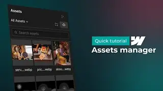 Webflow Assets Manager panel - Quick tutorial