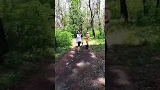 Лабробанда на прогулке в Батмановском лесу. Щенки лабрадора ретривера, 4,5 месяца