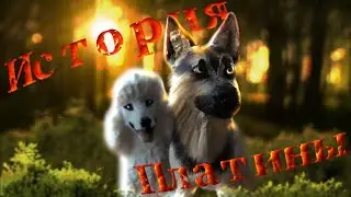 История Господства Наследие Гефеста // ИСТОРИЯ ПЛАТИНЫ 5 эпизод \\ шляйх schleich сериал про собак