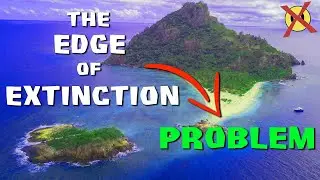 The Survivor Edge of Extinction Problem