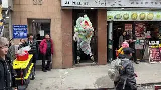 New york golden lion dance 2025