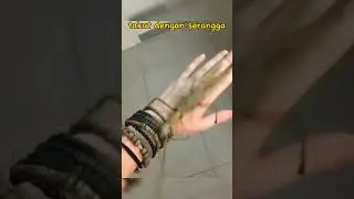 phobia yang paling banyak dimiliki manusia #insects #entomophobia #phobia #serangga