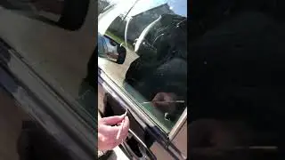 Может себе позволить 😂  