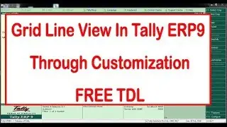 Grid Line View In Tally ERP9  Through Customization (FREE CUSTOMIZATION)