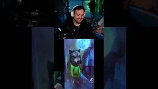 ТЁМНАЯ СТОРОНА #guacamolemolly #гуакамоле #гвакамоле