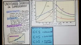 Is the Solution Unsaturated, Saturated, or Supersaturated?