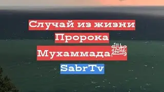 СЛУЧАЙ ИЗ ЖИЗНИ ПРОРОКА МУХАММАДА ﷺ