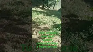 a vida é bela pra quem sabe viver