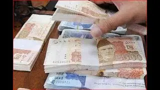 My First Salary from YouTube 😍 Paisa he Paisa | Money #Youtubrshorts #shorts #freeinternet