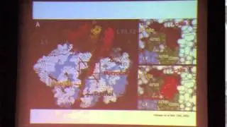 The 2014 Alabama A&M Department of Physics 17th Annual Putcha Venkateswarlu Memorial Lecture