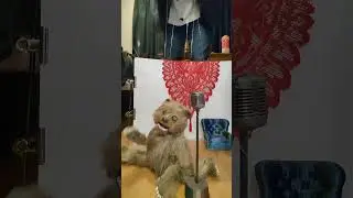 night fever