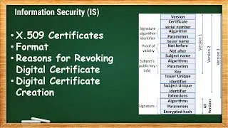 X.509 Certificates Format & Real Example | IS - 8.3