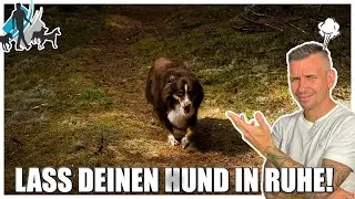 Don't bend your dog!