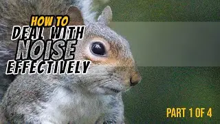 How To Deal With Noise EFFECTIVELY - Part 1