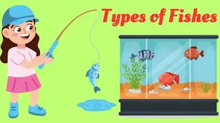 Types of fishes | Fish types | Fish names #fishtypes