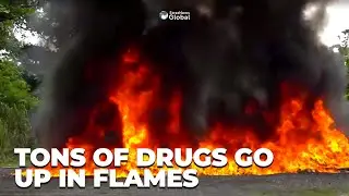 Tons of Drugs Set Ablaze; Bulk Of It Was Cocaine Hidden In Lemon Boxes