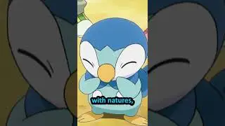 Pokemon Anime Vs Games