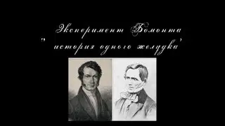 Эксперимент Бомонта: история одного желудка | Мозговедение