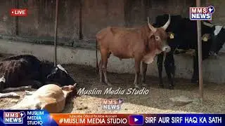 Ye Kiya Hora Hai Up Me | @MuslimMediaStudio786
