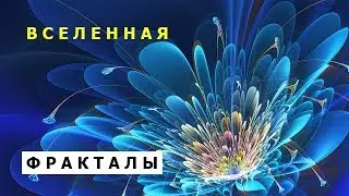 Фракталы. Как устроена вселенная