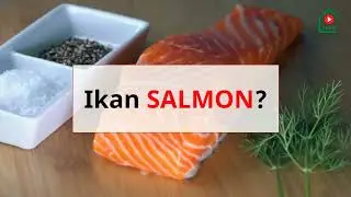 10 Fakta Unik Tentang Ikan Salmon