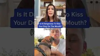Is It Dangerous To Kiss Your Dog On The Mouth? 😘🐶 (Vet Reveals) #shorts