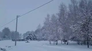 Черничный Хутор спит под снегом до весны.
