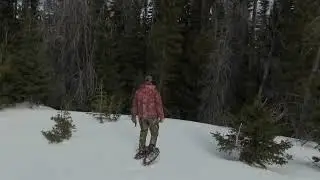 Montana Marten Trapping 2021 2022 Season