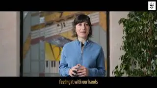 Soil Health Tests: Soil Moisture