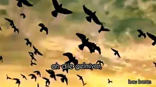 koma demsal, baran bari (yağmur yağdı) türkçe altyazılı