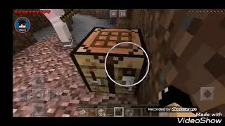 Наше выживание с Kiti kvin! 1 часть