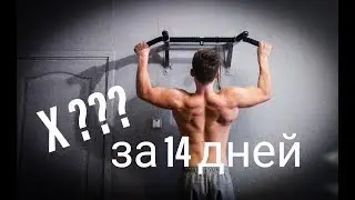 Что Будет Если Подтягиваться Каждый День? Вызов от Игоря Войтенко (Road to the dream)