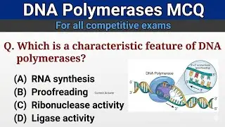 DNA Polymerases MCQ | DNA Replication| Molecular Biology MCQ for Competitive Exams