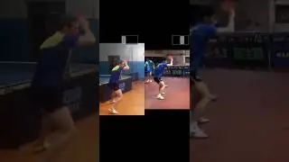 Найди 10 отличий в топ-спине справа 