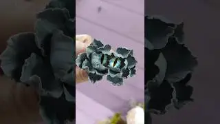 Серьги с глазками 