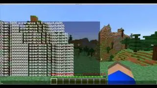 Minecraft PC Cheats