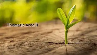 Environmental Sustainability and International Trade: Roadmap for Sustainable Development