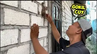 Mau Heran, tapi kok beneran… dia beranak lagi disini 🤣🤣🤣